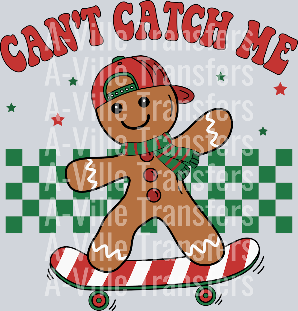 Can't Catch me!