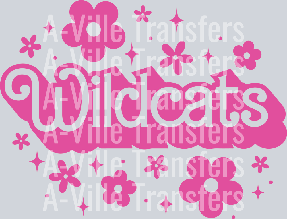 Wildcats Barbie 1