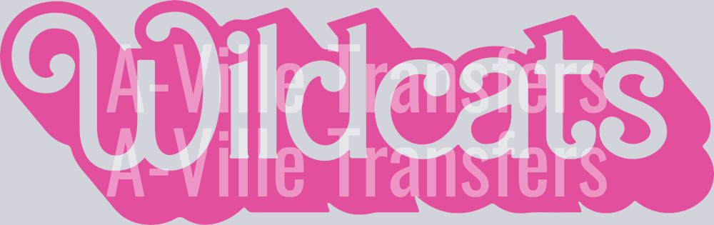 Wildcats Barbie 2