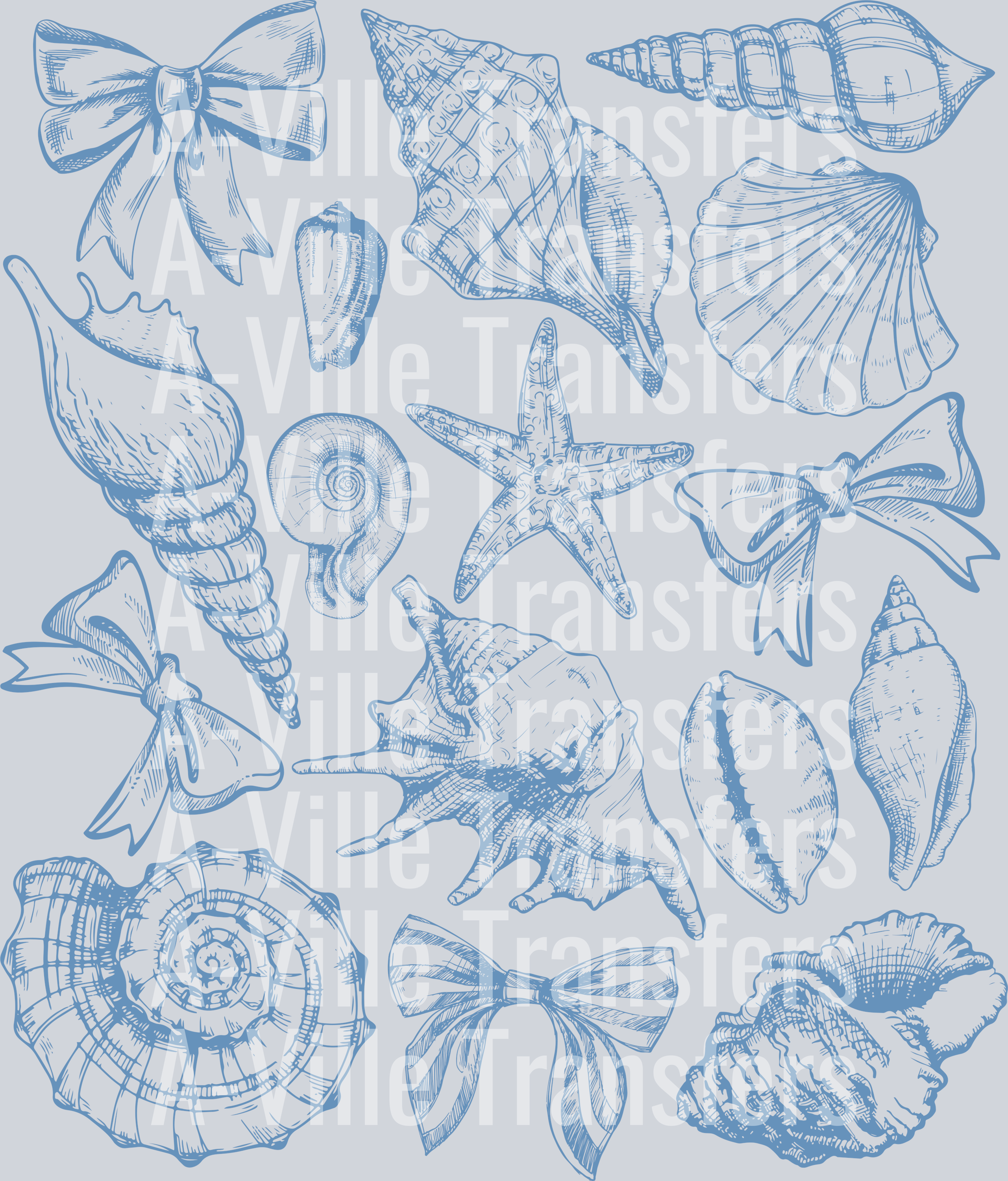 Seashell – A-Ville Transfers