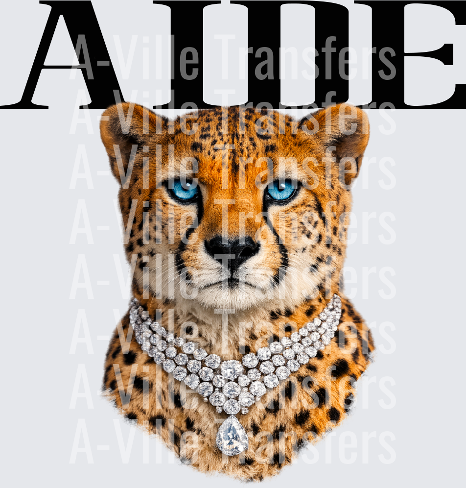 Aide Cheetah