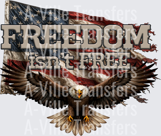 Freedom isnt free