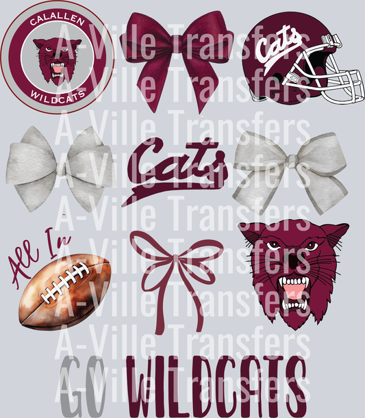 Calallen Football Collage