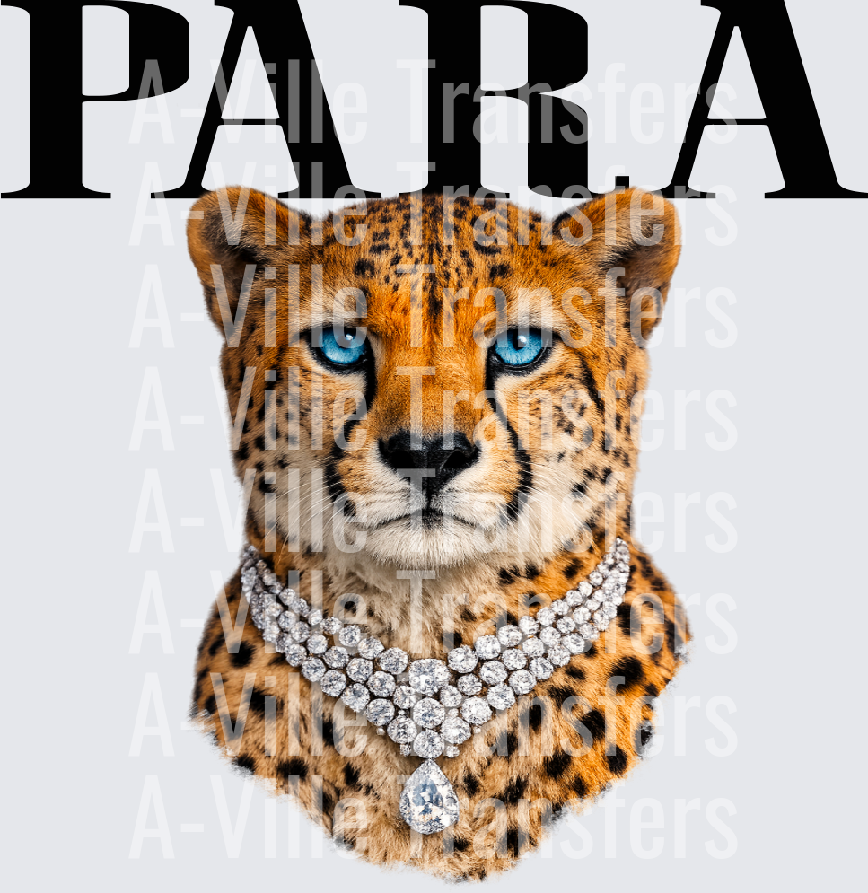 Para Cheetah