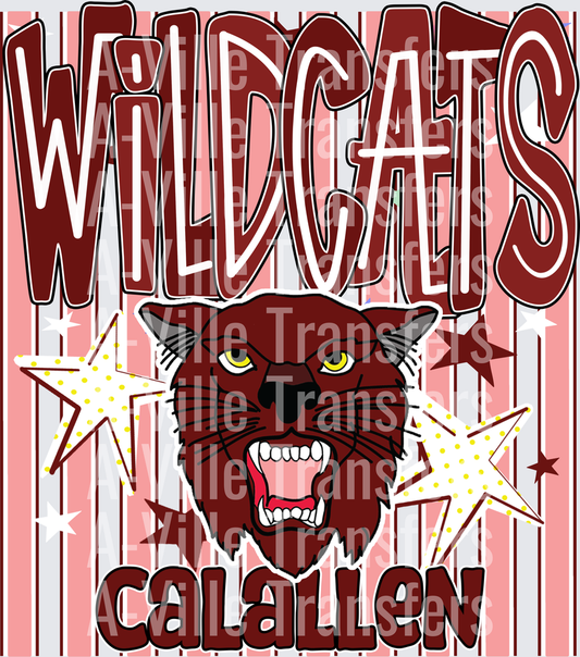 Starry Wildcats