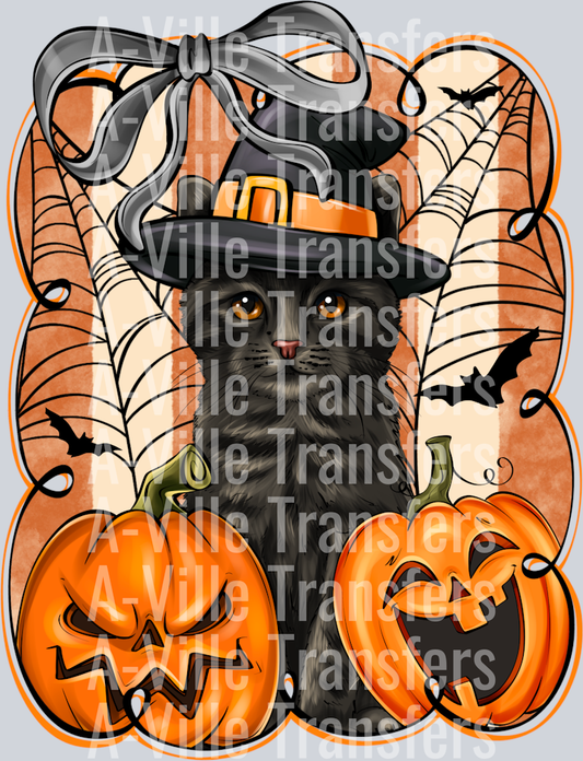 Halloween Cats